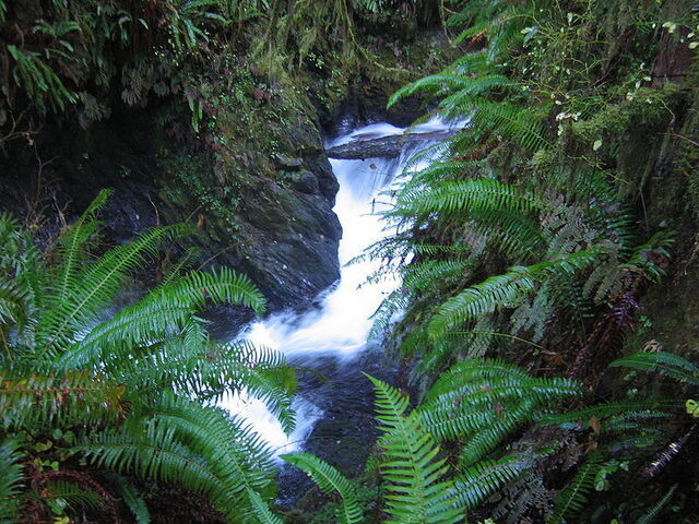 A small waterfall