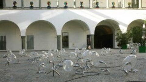 Walking Eggs