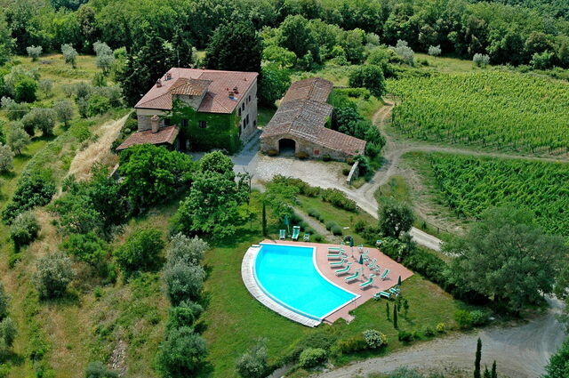 Fattoria di Quercia al Poggio, estate