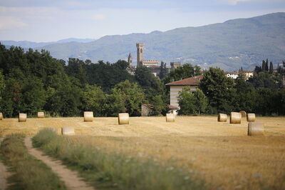 Views around Villa Agata