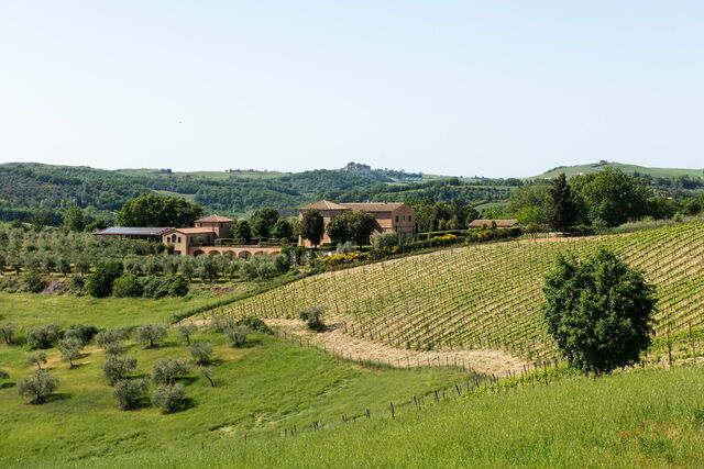 Surroundings of Podere D'Asso