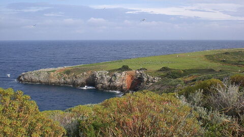 Giannutri Island