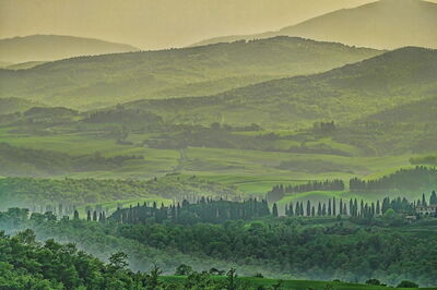 Tuscan woods