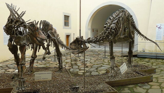 Natural History Museum, dinosaurs