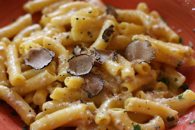 Truffle pasta