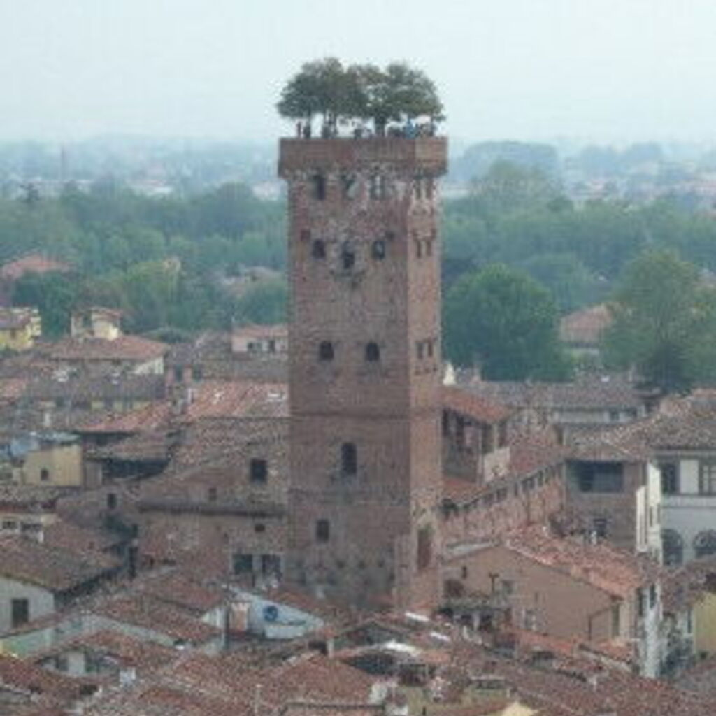 Luca C.