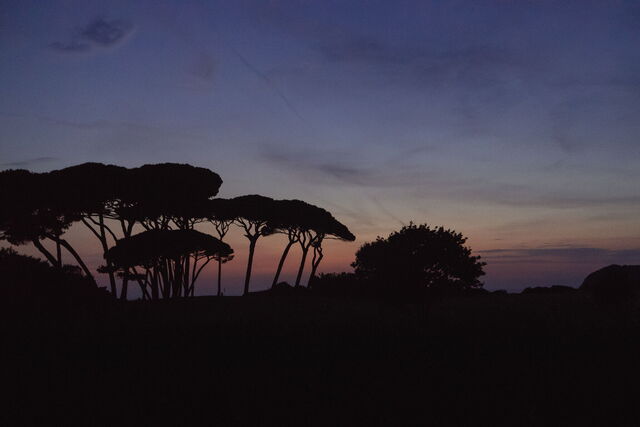 Baratti by Night