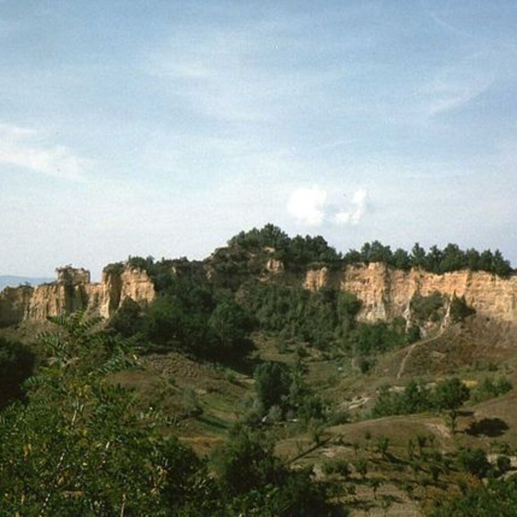 Luca C.