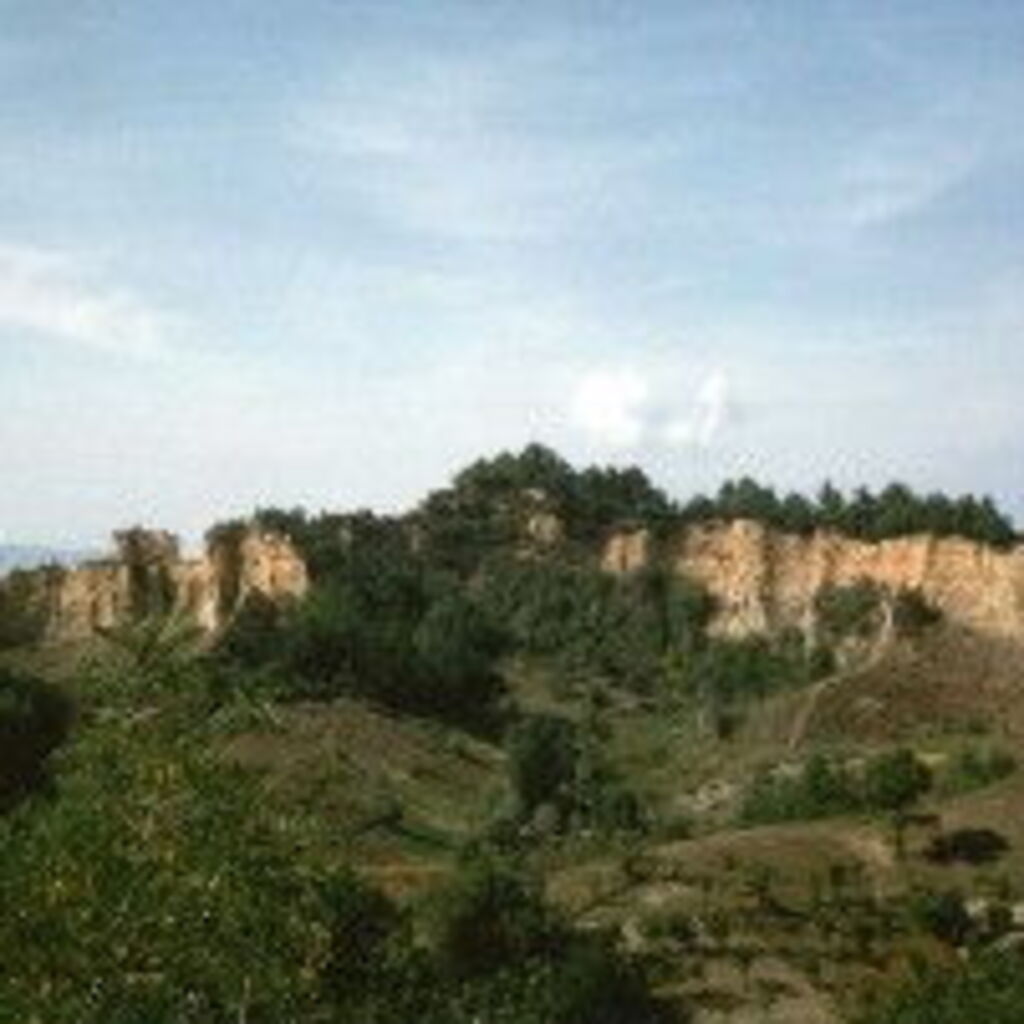 Luca C.