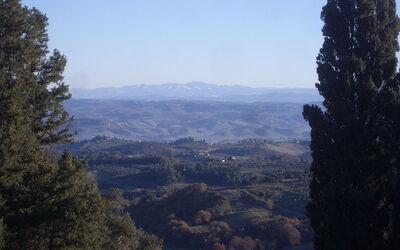 Landscape outside Montaione