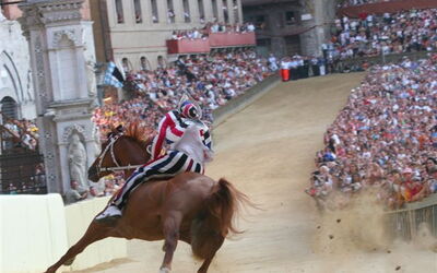Horse race of Palio di Siena