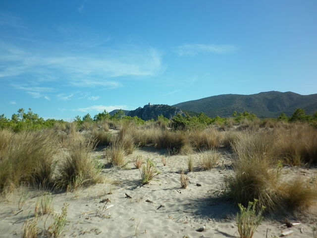 Coast