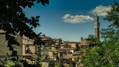 View over Pisa