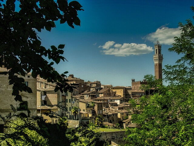 View over Pisa