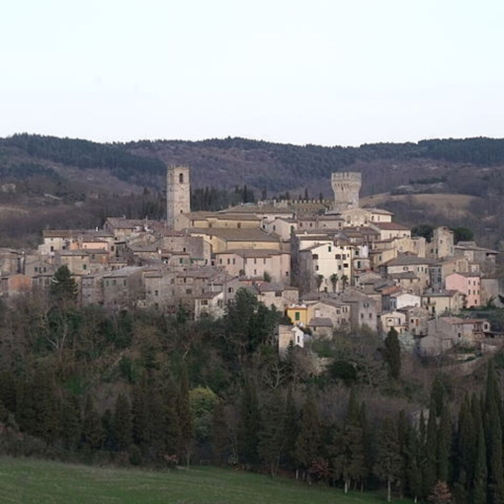 Luca C.