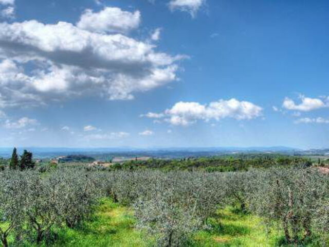 View of the countryside nearby Castelnuovo Berardenga