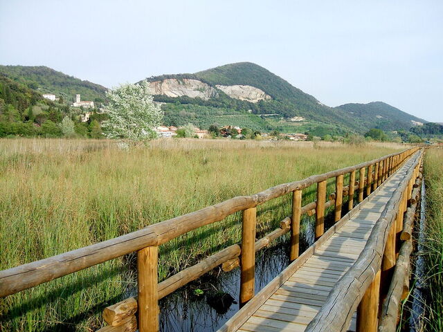 Lake Massaciuccoli