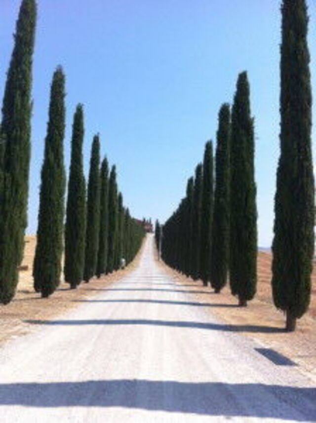 Essence of Tuscany