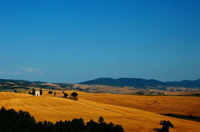 Tuscan Landscape
