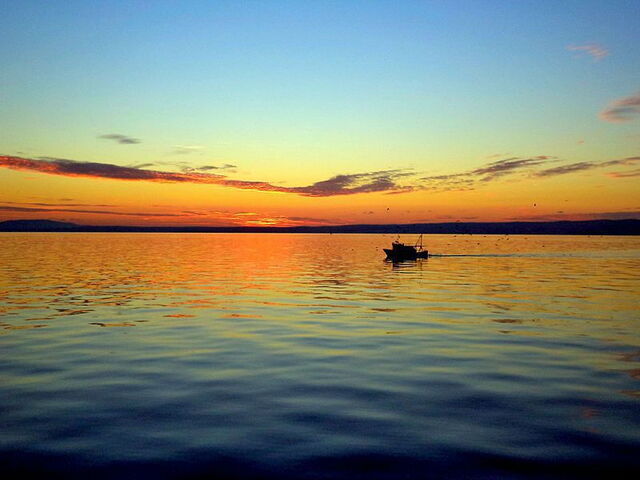 Fishing at sunset