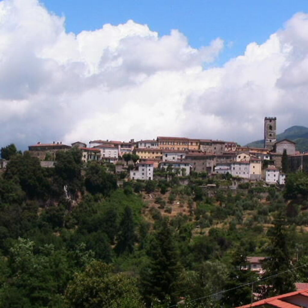 Luca C.