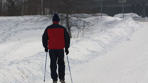 nordic walking in snow