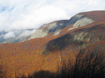 Mountains in the Casentinesi National Park