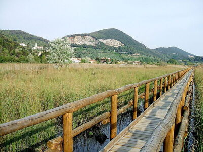 A peaceful walkway through the Massaciuccoli mardshland