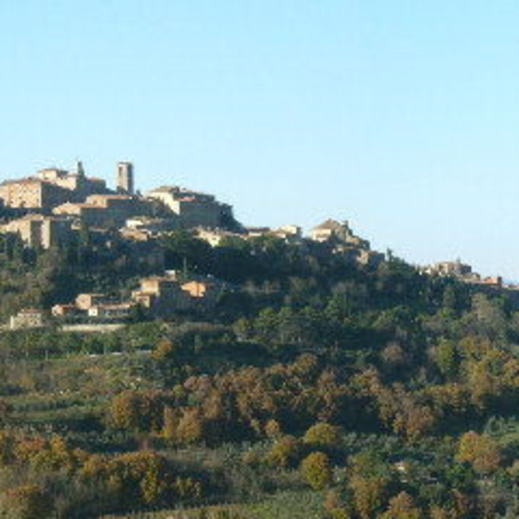 Luca C.