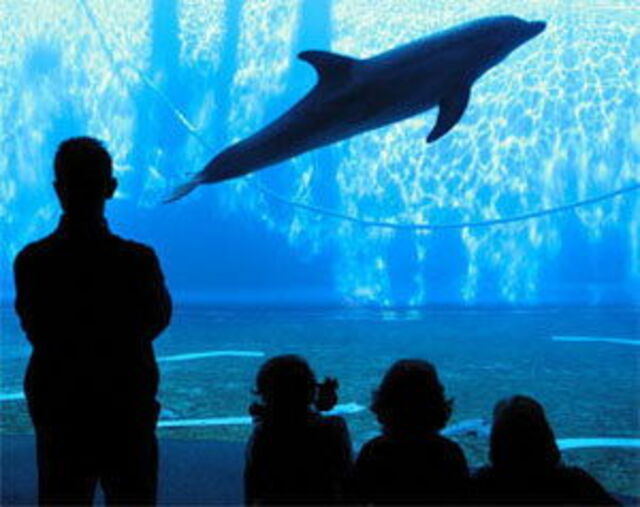 Aquarium in Genova