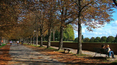 lucca city walls
