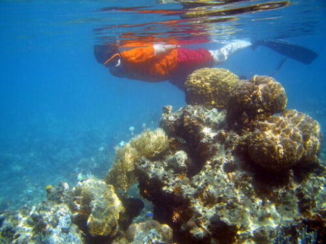 Go snorkelling in Tuscany