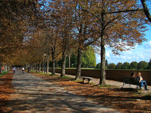 lucca city walls