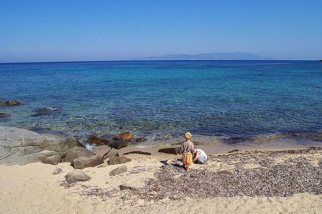 Giglio island beach