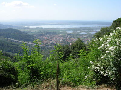 Lago Massaciuccoli