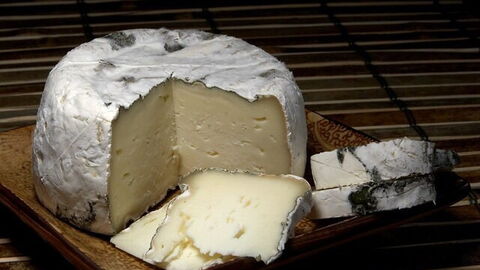 cheese