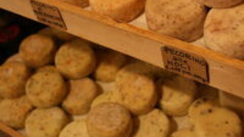 Pecorino