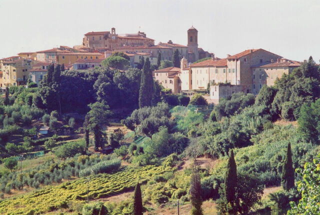 Lari
