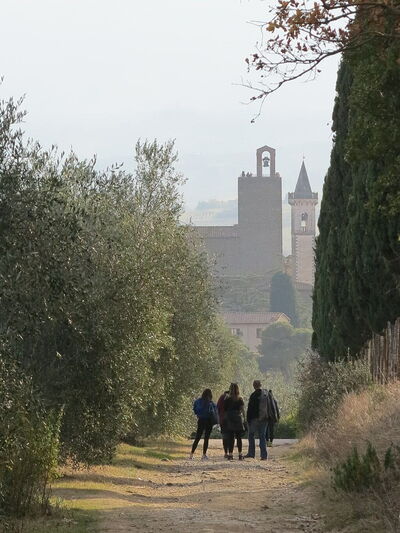 Walking in Vinci