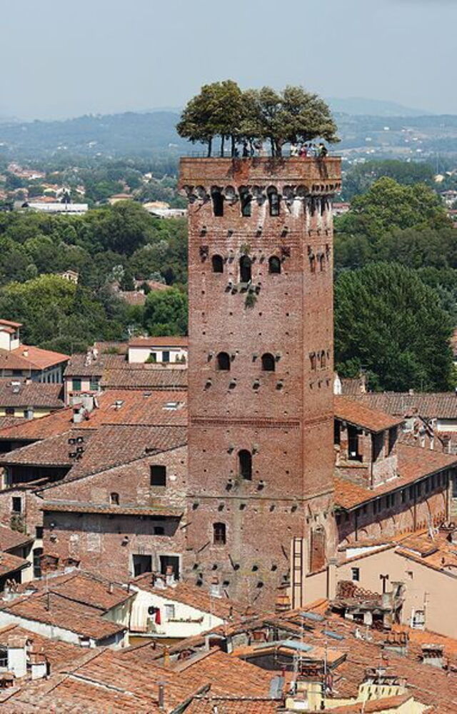 Lucca's Guinigi tower