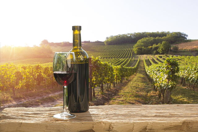 Wine in Chianti