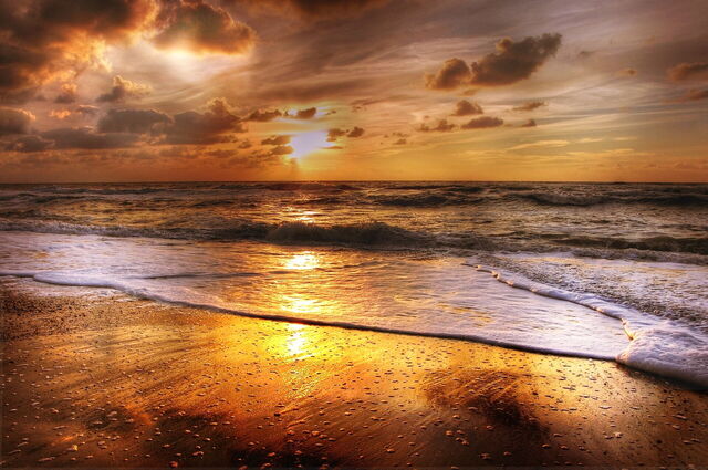 Beach