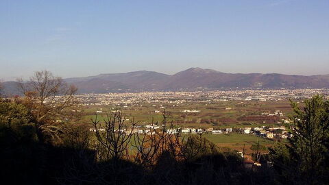 Quarrata town