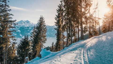 Snowy slopes