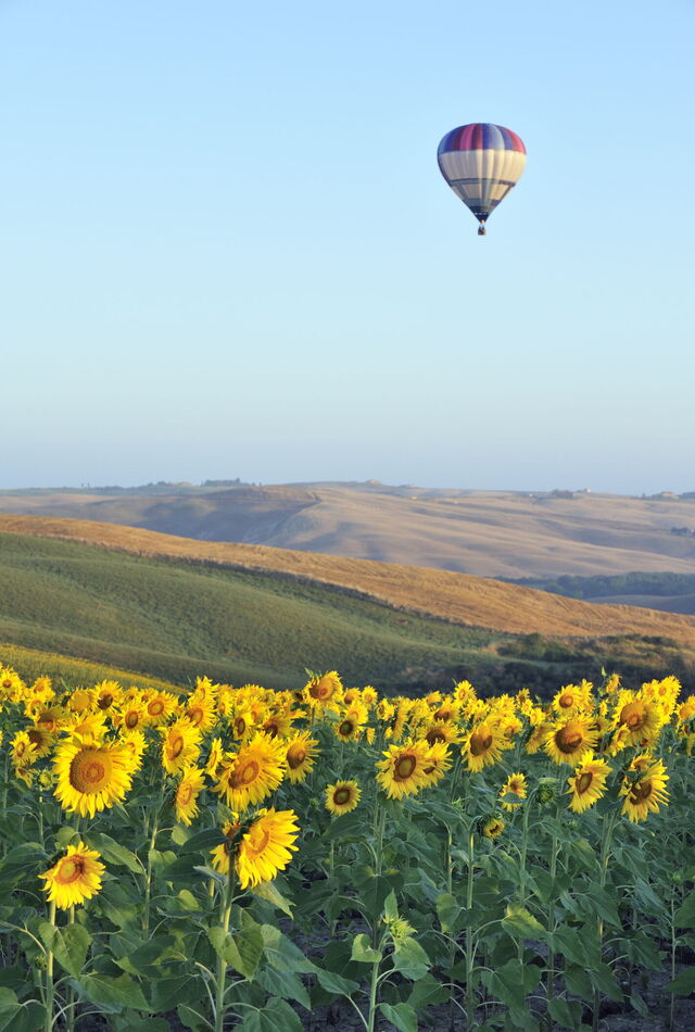 Hot Air Balloon 1