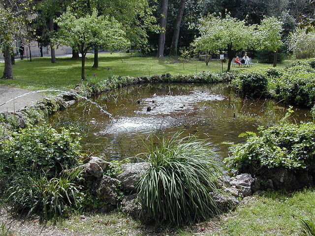 Water at the Botanic Gardens, Pisa