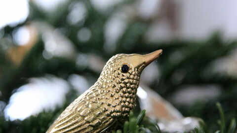 Golden bird