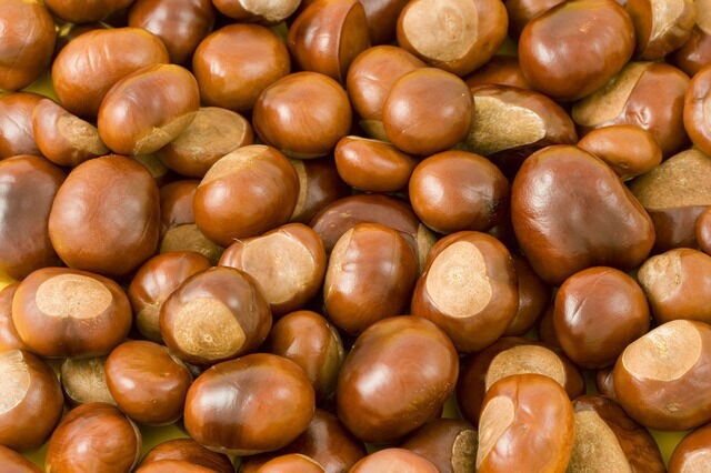 Peeled chestnuts