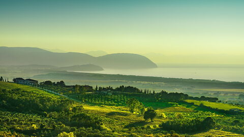 Tuscan Coast