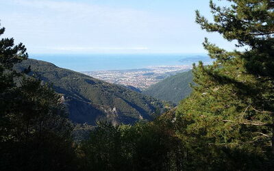 Orto Botanico delle Alpi Apuane"Pietro Pellegrini"